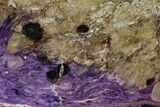 Purple Polished Charoite Slab - Siberia #129074-1